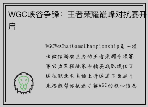 WGC峡谷争锋：王者荣耀巅峰对抗赛开启
